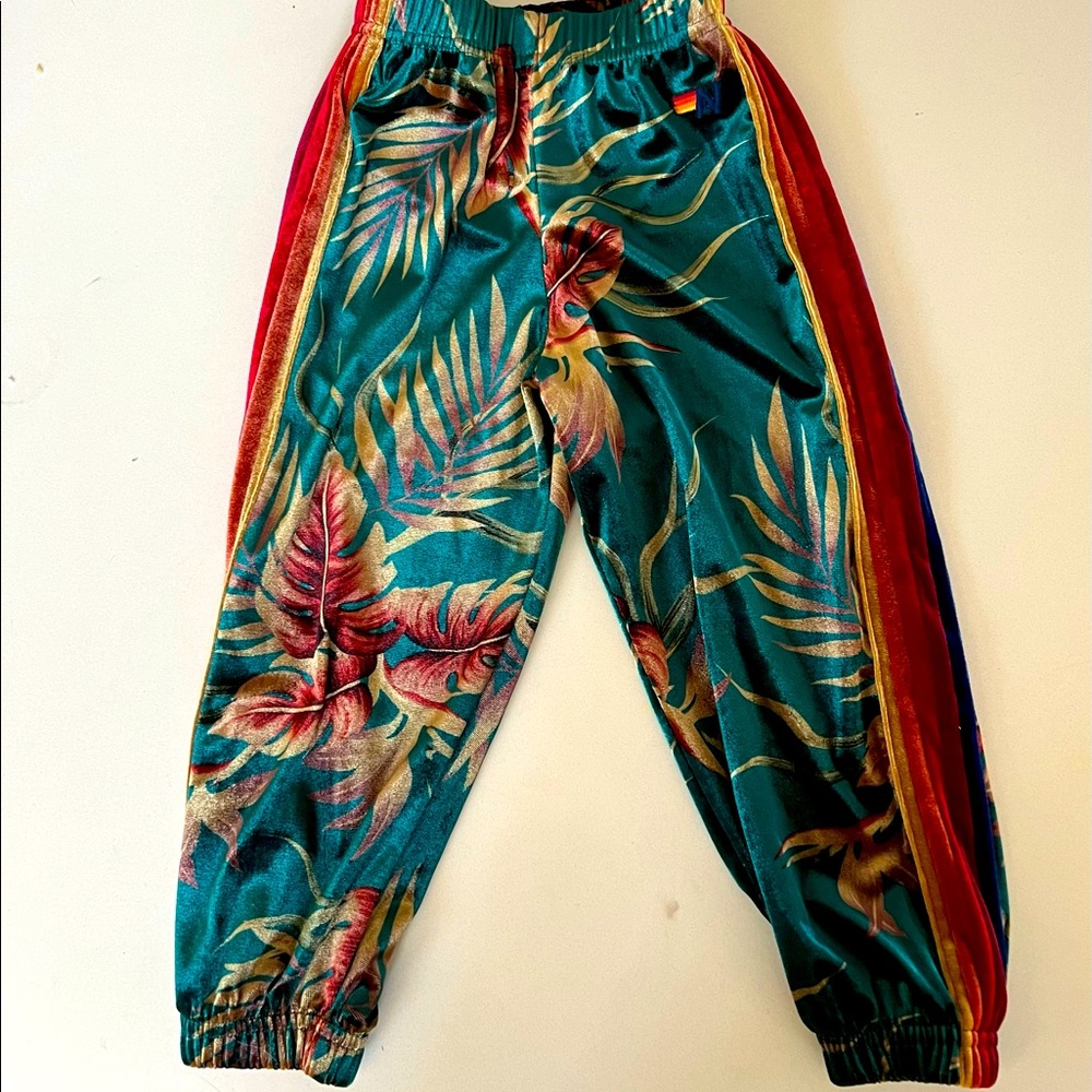 Aviator nation kids velour pants